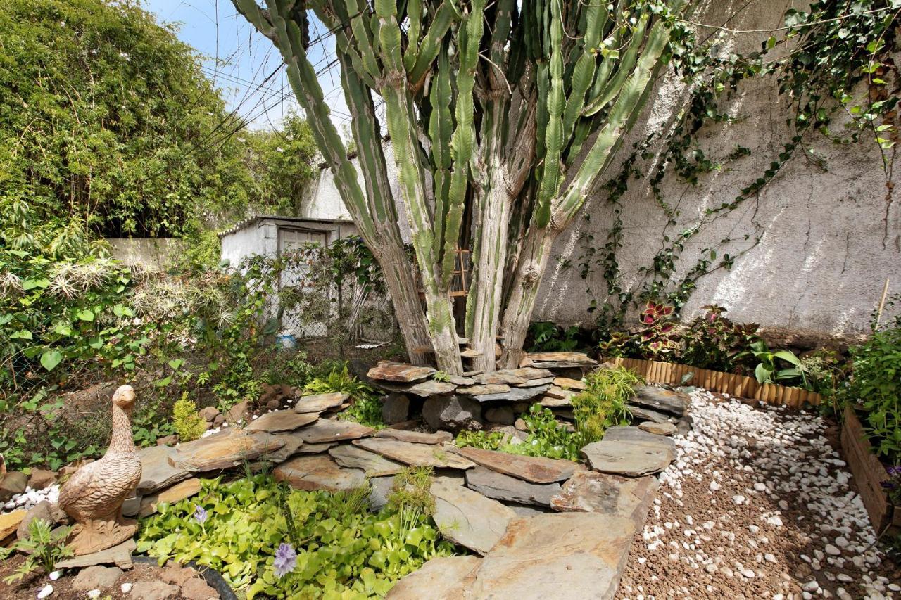 Apartamento Jardin Del Sol Tacoronte Exterior photo